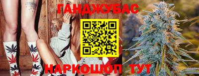 кокс Можга