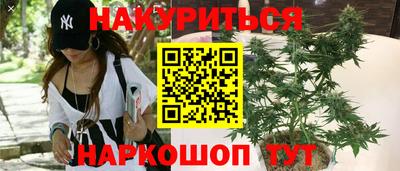 кокс Можга