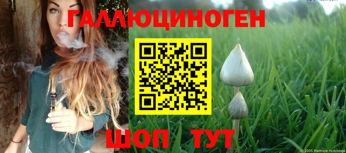 Галлюциногенные грибы мухоморы  Вход с VPN  Чебоксары 